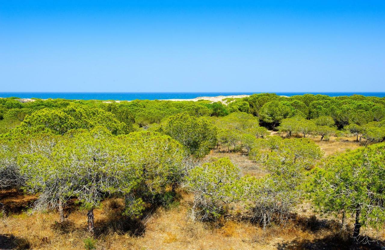 Luxury Pinada Beach La Mata  Εξωτερικό φωτογραφία